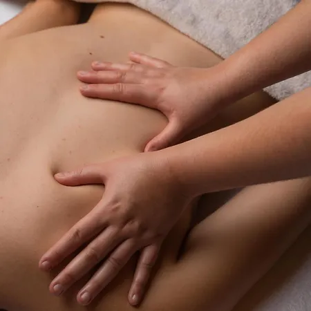 Merveil - Luxury - Louvre - Ours Ii *